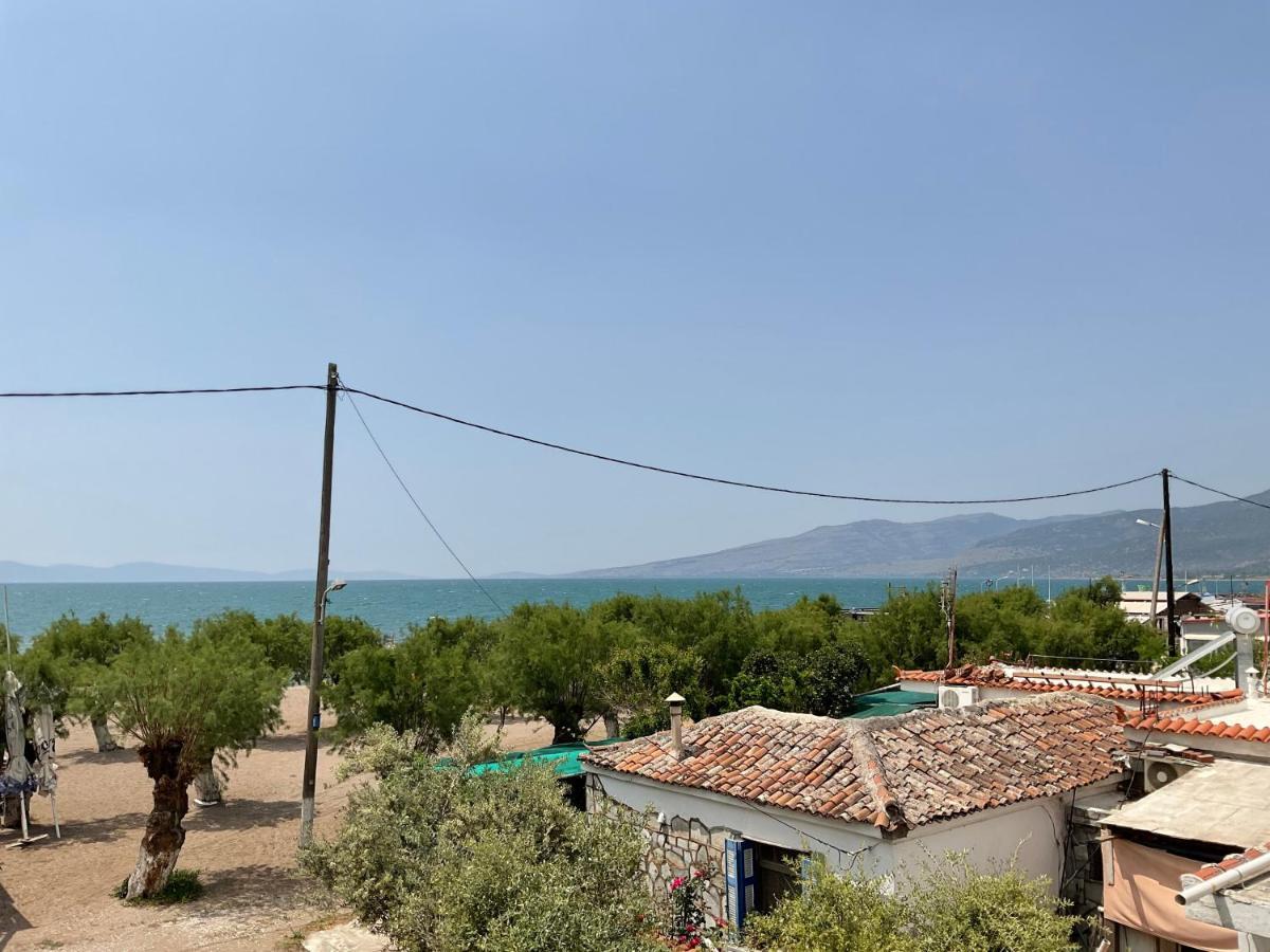 Aliki's * Skala Kallonis